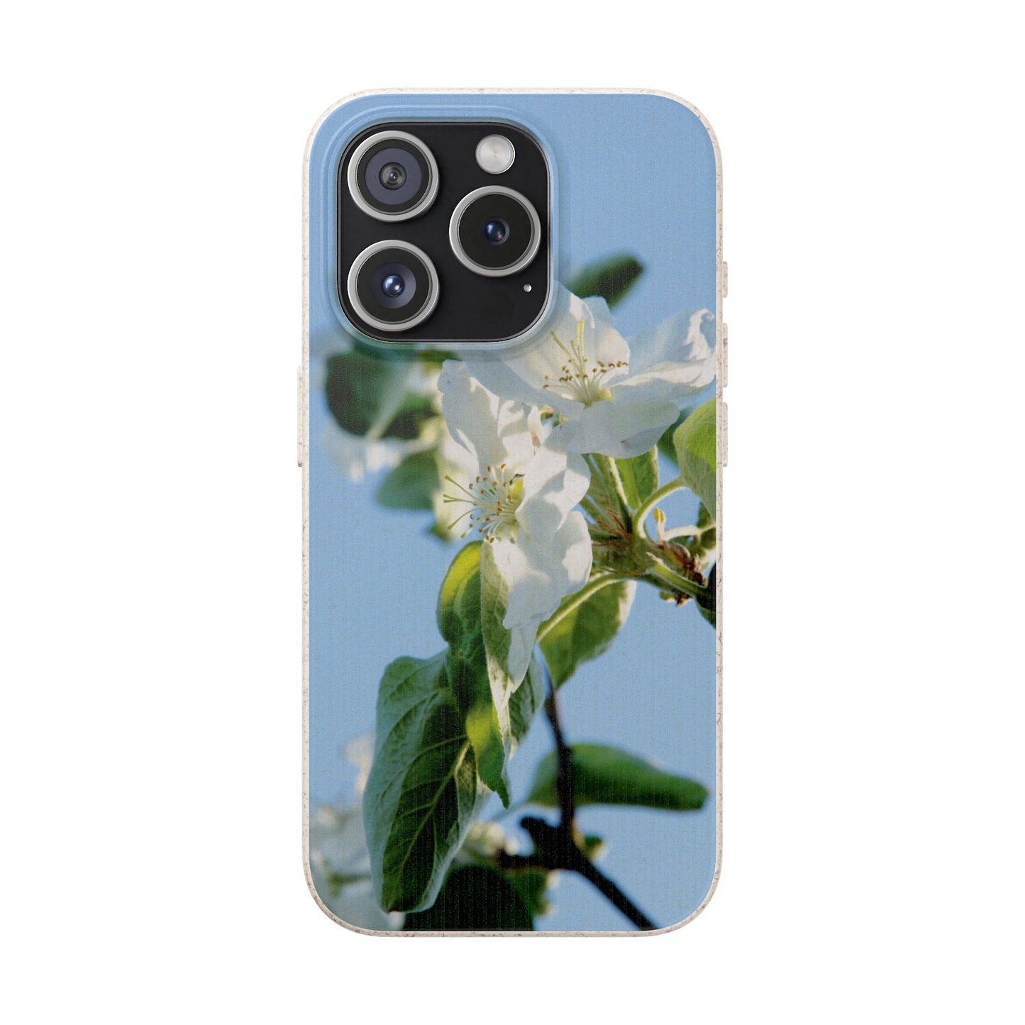 Biodegradable Phone Case „Apfelblüte/Apple Blossom“ – Eco-Friendly Artistic Accessory with Photo Design by Sarah Buhl – Magsafe® Compatible