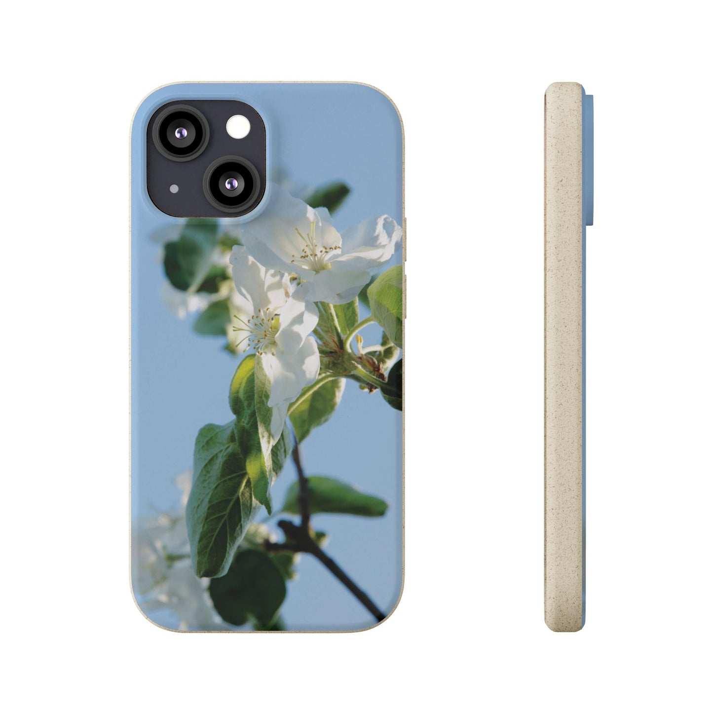 Biodegradable Phone Case „Apfelblüte/Apple Blossom“ – Eco-Friendly Artistic Accessory with Photo Design by Sarah Buhl – Magsafe® Compatible