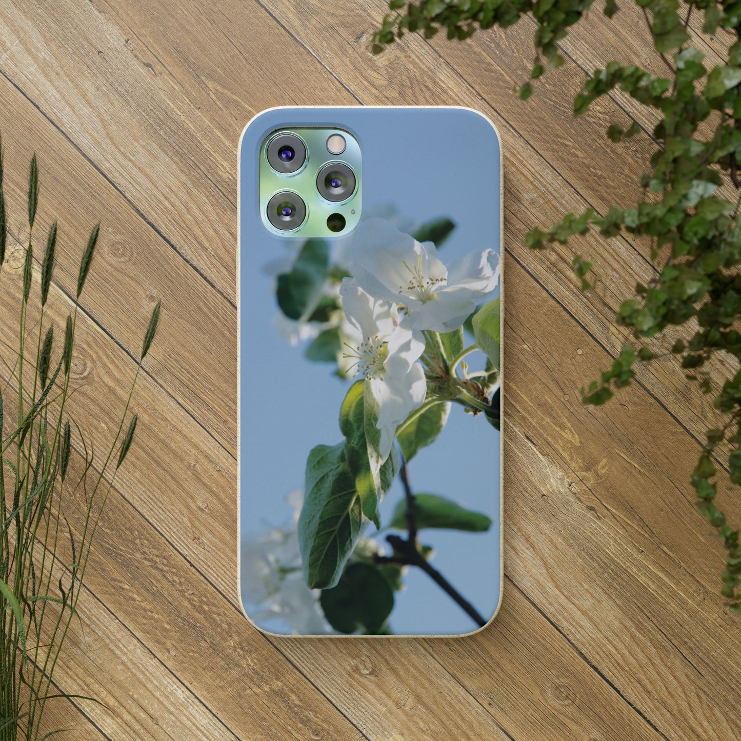 Eco-Friendly Biodegradable Phone Case ‚Apfelblüte‘/,Apple Blossom’ – Photo Design by Sarah Buhl – Magsafe® Compatible