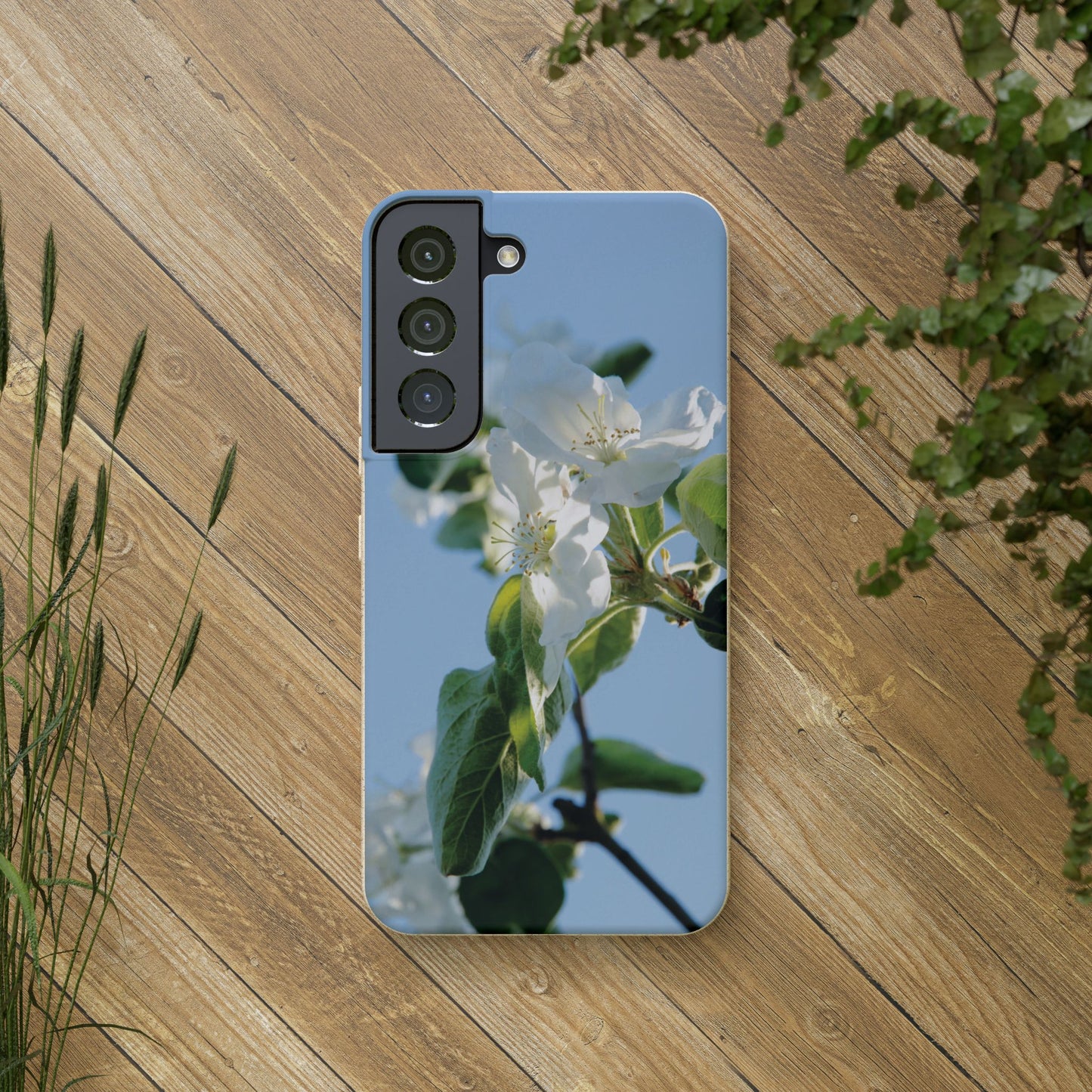 Eco-Friendly Biodegradable Phone Case ‚Apfelblüte‘/,Apple Blossom’ – Photo Design by Sarah Buhl – Magsafe® Compatible