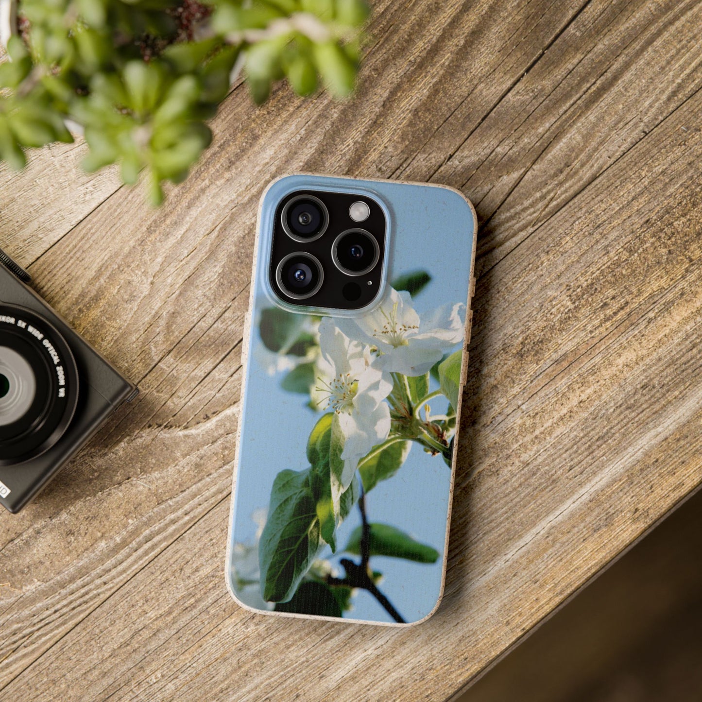 Biodegradable Phone Case „Apfelblüte/Apple Blossom“ – Eco-Friendly Artistic Accessory with Photo Design by Sarah Buhl – Magsafe® Compatible