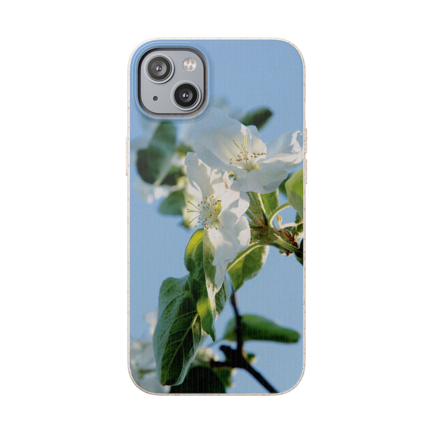 Biodegradable Phone Case „Apfelblüte/Apple Blossom“ – Eco-Friendly Artistic Accessory with Photo Design by Sarah Buhl – Magsafe® Compatible