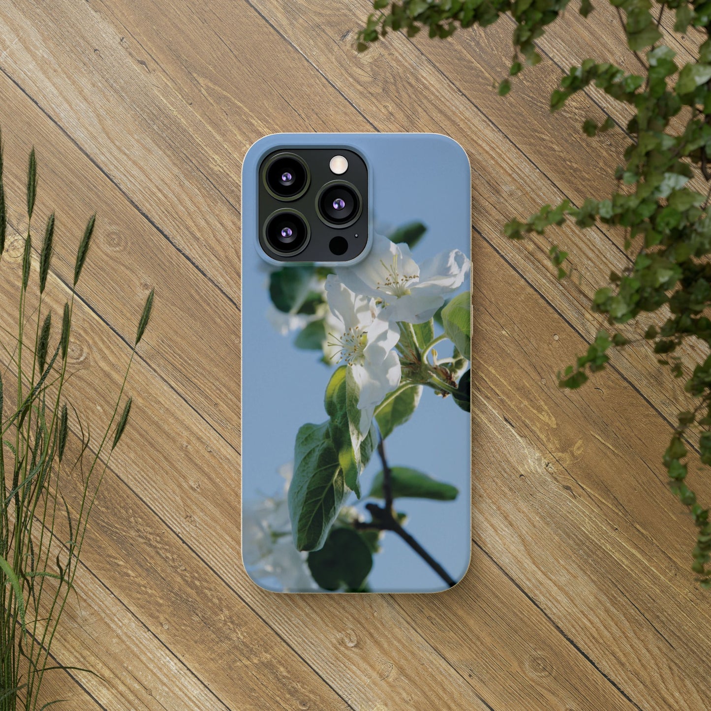 Eco-Friendly Biodegradable Phone Case ‚Apfelblüte‘/,Apple Blossom’ – Photo Design by Sarah Buhl – Magsafe® Compatible