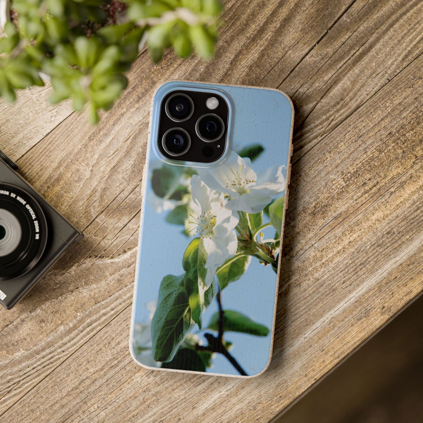Eco-Friendly Biodegradable Phone Case ‚Apfelblüte‘/,Apple Blossom’ – Photo Design by Sarah Buhl – Magsafe® Compatible