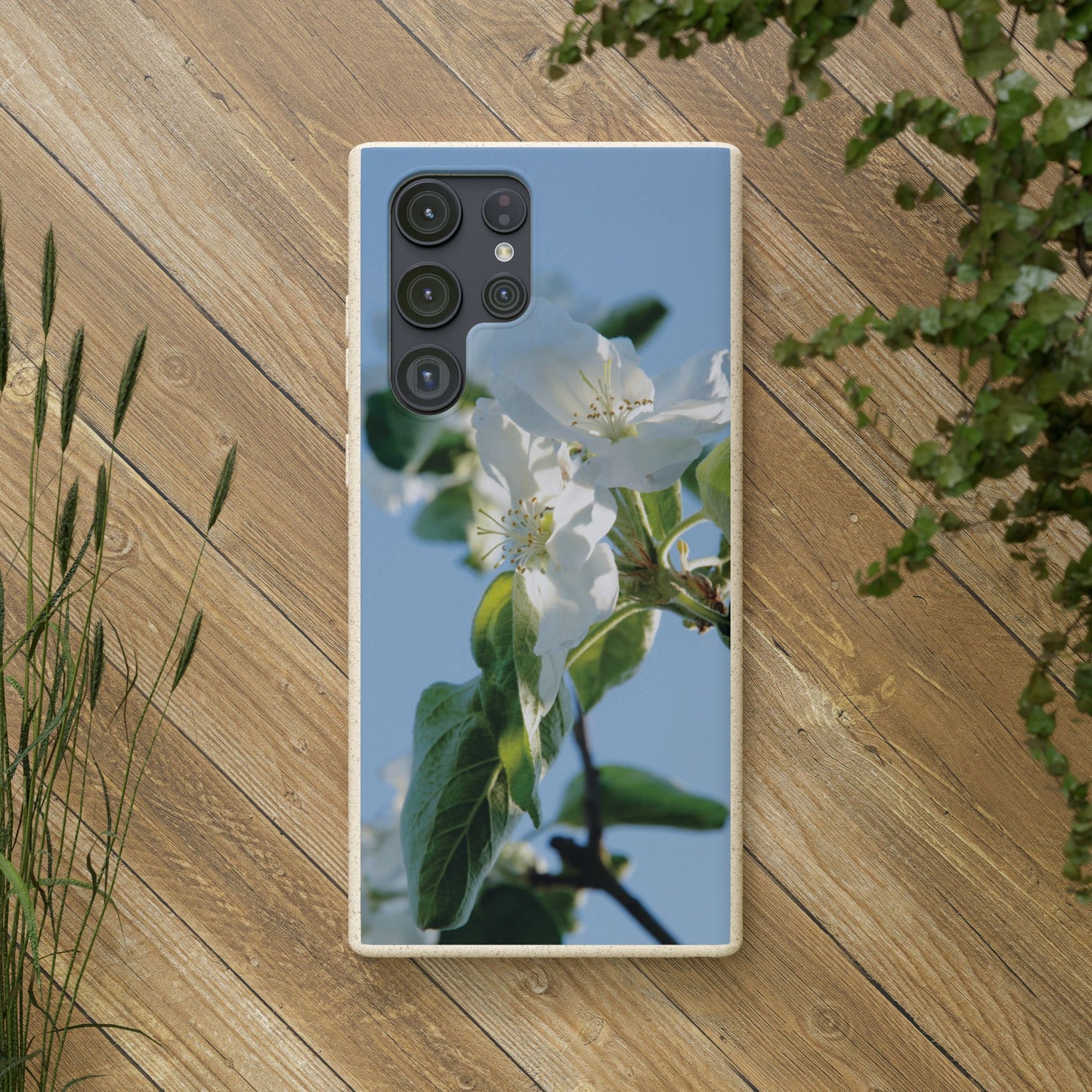 Eco-Friendly Biodegradable Phone Case ‚Apfelblüte‘/,Apple Blossom’ – Photo Design by Sarah Buhl – Magsafe® Compatible