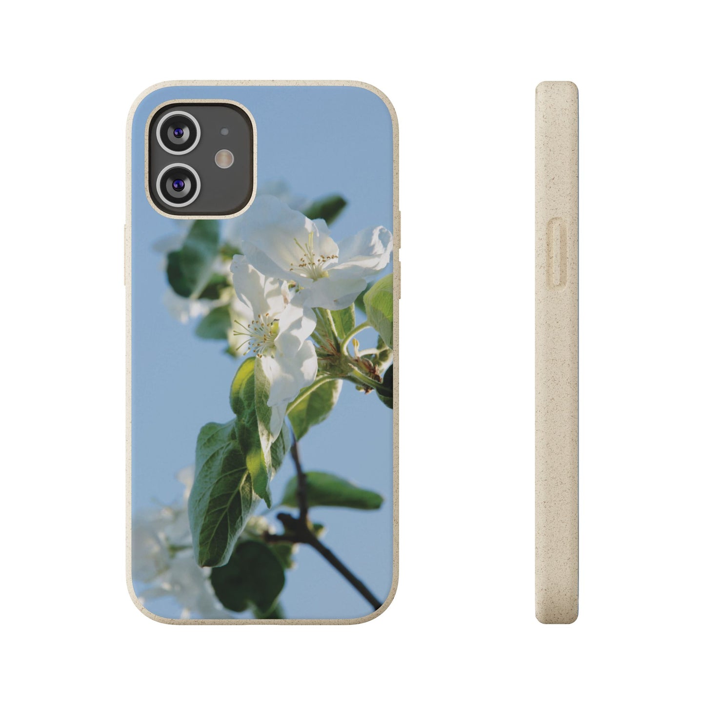 Biodegradable Phone Case „Apfelblüte/Apple Blossom“ – Eco-Friendly Artistic Accessory with Photo Design by Sarah Buhl – Magsafe® Compatible