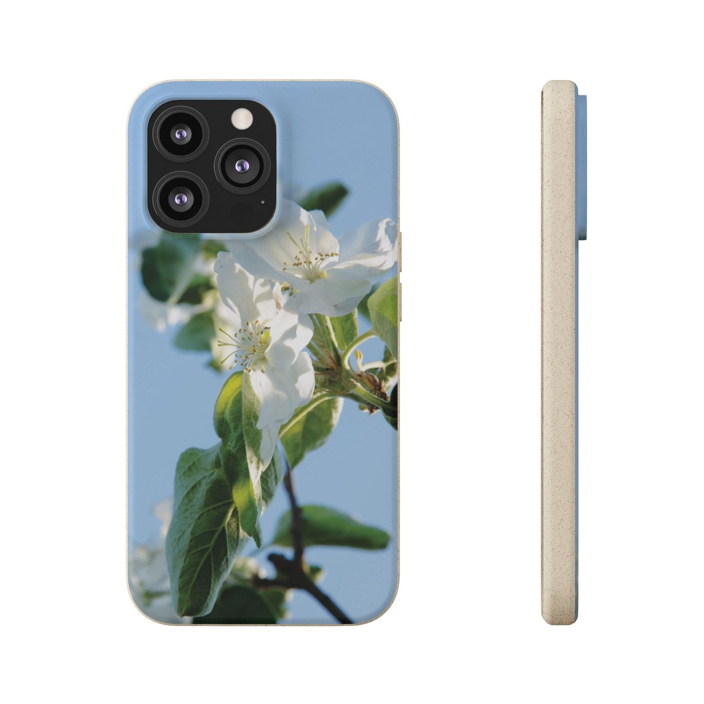 Biodegradable Phone Case „Apfelblüte/Apple Blossom“ – Eco-Friendly Artistic Accessory with Photo Design by Sarah Buhl – Magsafe® Compatible
