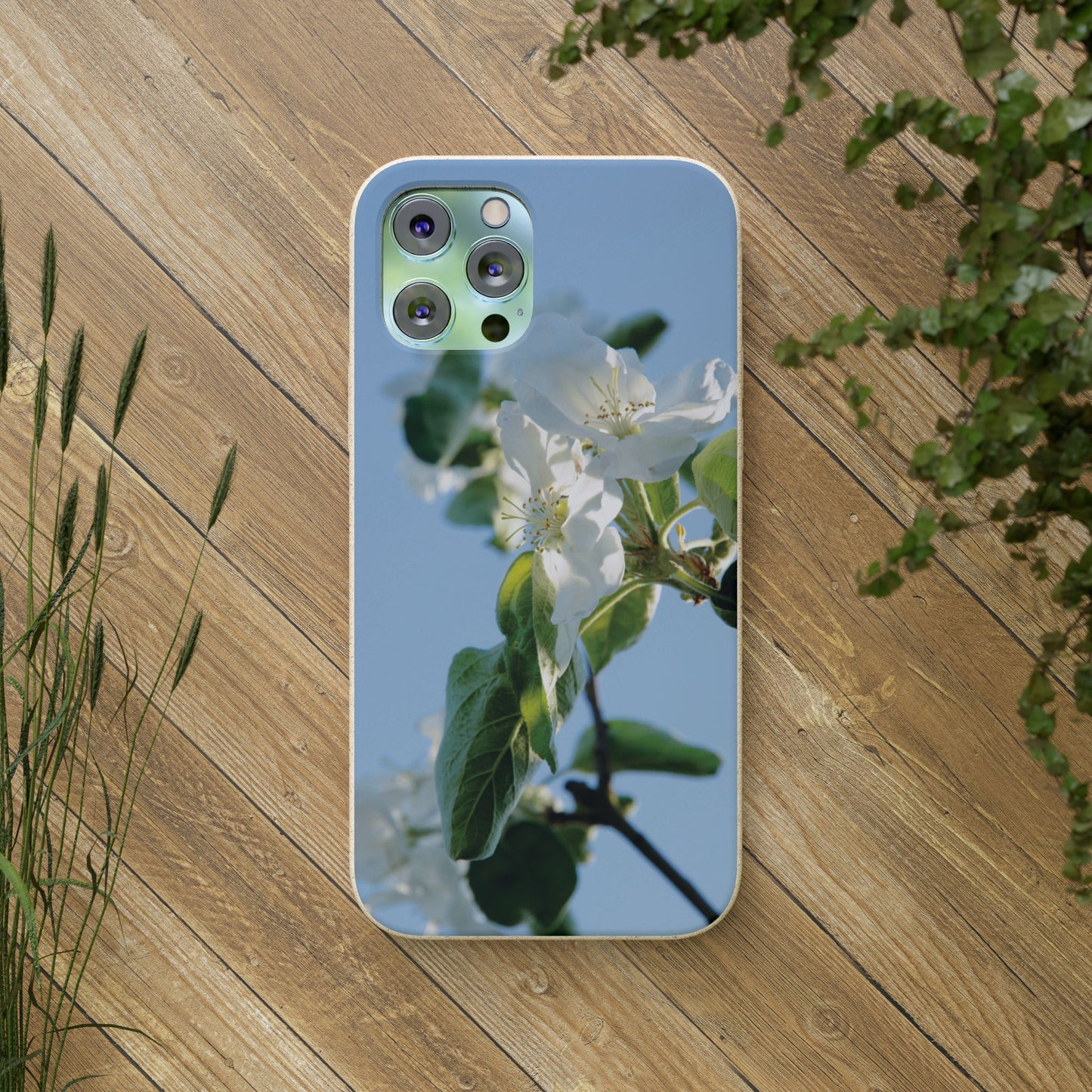 Eco-Friendly Biodegradable Phone Case ‚Apfelblüte‘/,Apple Blossom’ – Photo Design by Sarah Buhl – Magsafe® Compatible