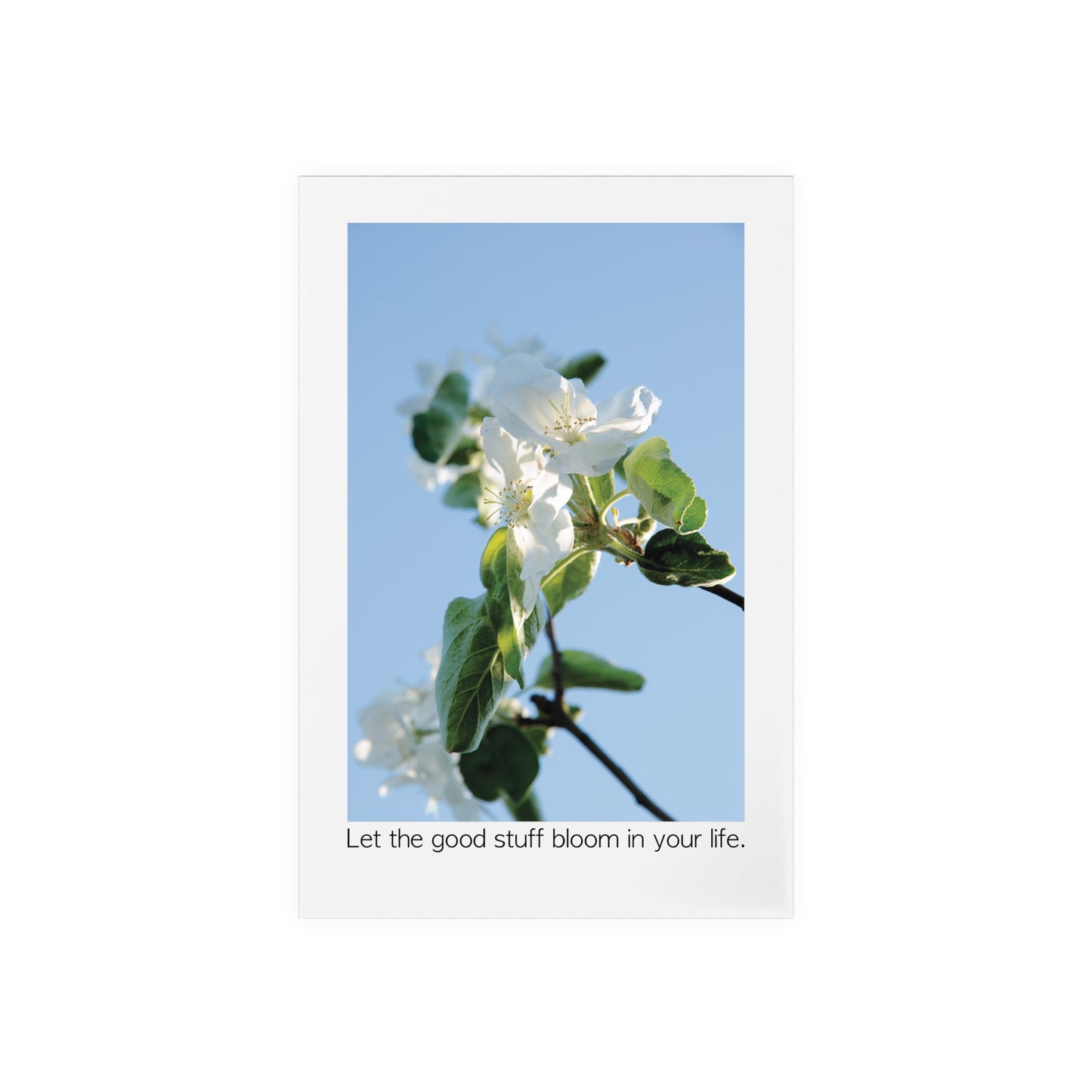 Acrylic Sign "Let the good stuff bloom in your life.“ - Elegant and inspiring art piece with Photograph „Apfelblüte/Apple Blossom“ by Sarah Buhl