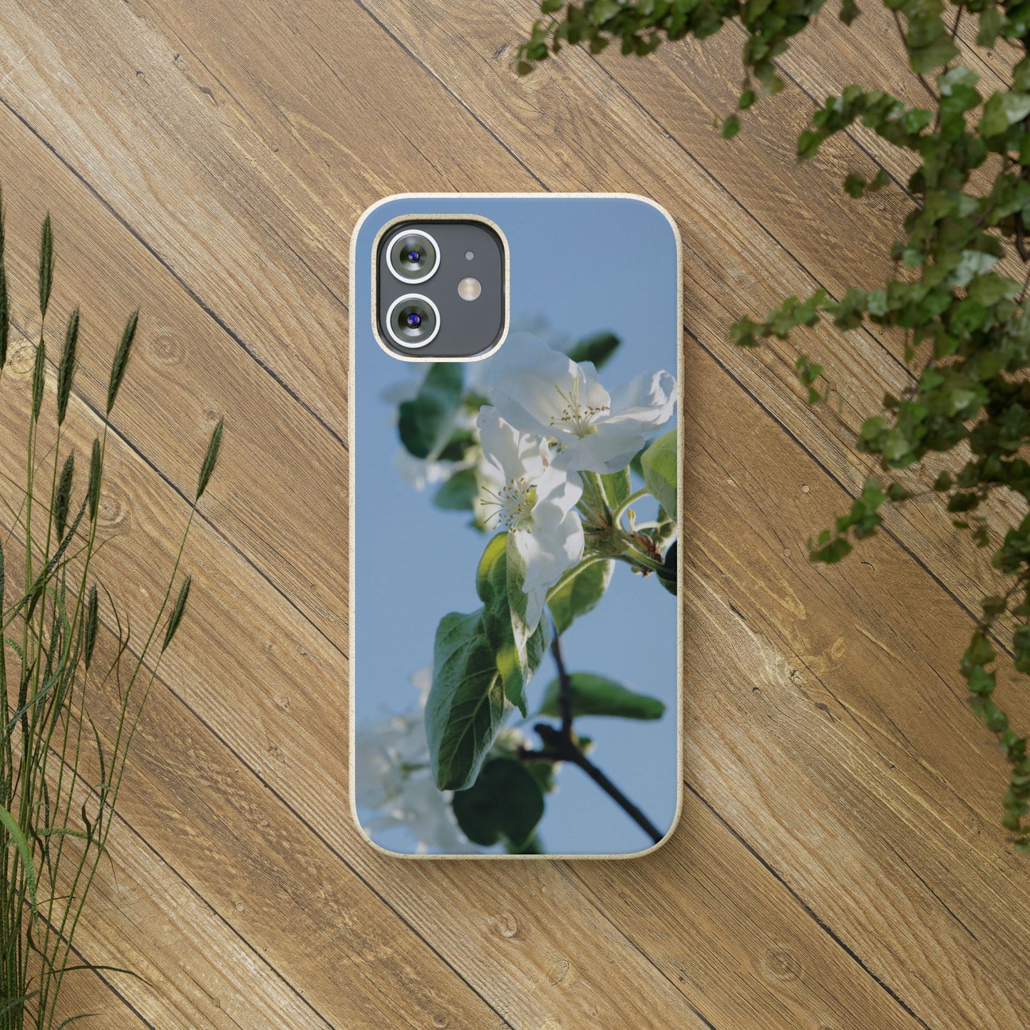 Biodegradable Phone Case „Apfelblüte/Apple Blossom“ – Eco-Friendly Artistic Accessory with Photo Design by Sarah Buhl – Magsafe® Compatible
