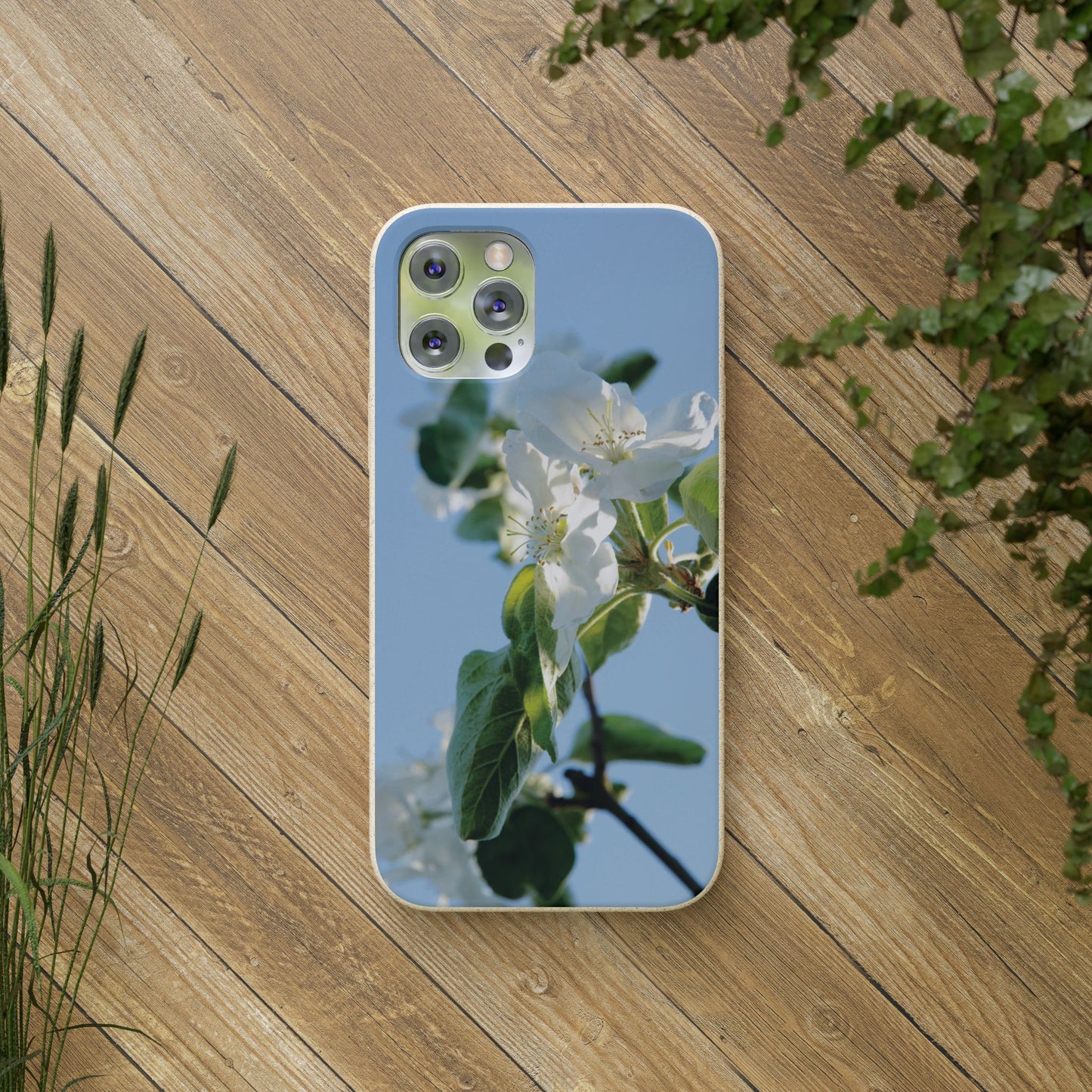 Eco-Friendly Biodegradable Phone Case ‚Apfelblüte‘/,Apple Blossom’ – Photo Design by Sarah Buhl – Magsafe® Compatible