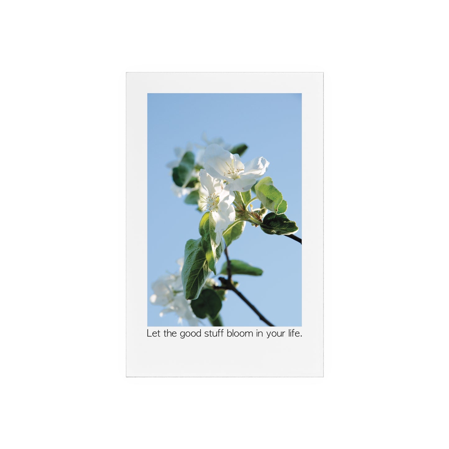 Acrylic Sign "Let the good stuff bloom in your life.“ - Elegant and inspiring art piece with Photograph „Apfelblüte/Apple Blossom“ by Sarah Buhl