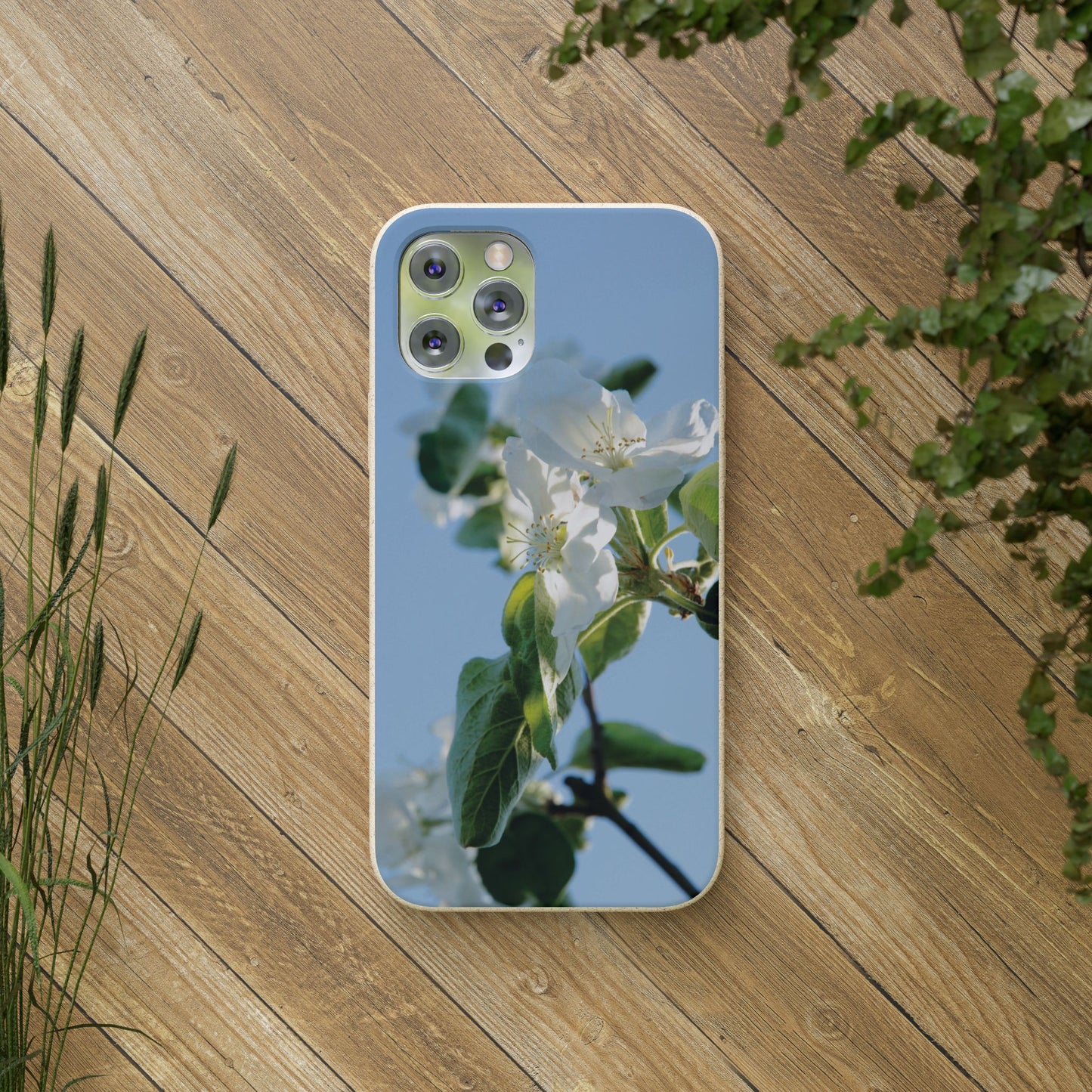 Eco-Friendly Biodegradable Phone Case ‚Apfelblüte‘/,Apple Blossom’ – Photo Design by Sarah Buhl – Magsafe® Compatible