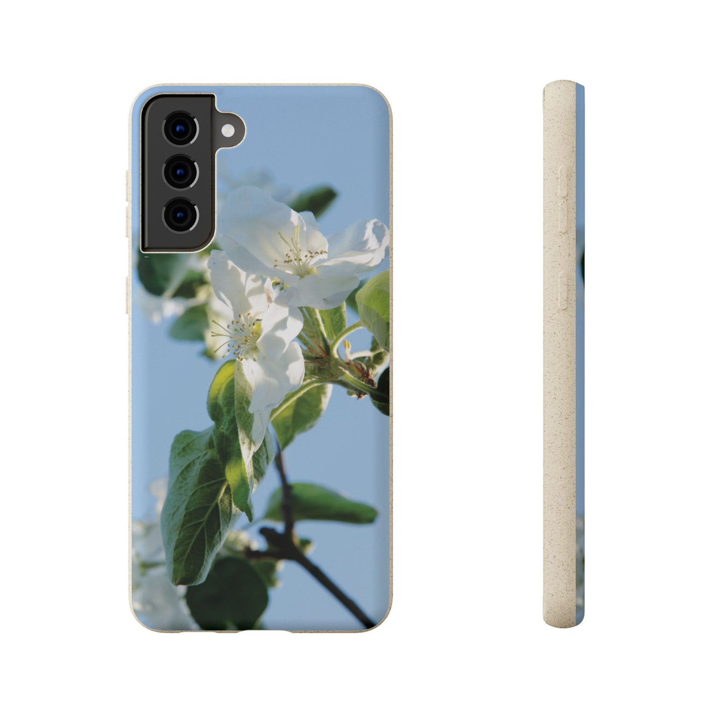 Biodegradable Phone Case „Apfelblüte/Apple Blossom“ – Eco-Friendly Artistic Accessory with Photo Design by Sarah Buhl – Magsafe® Compatible