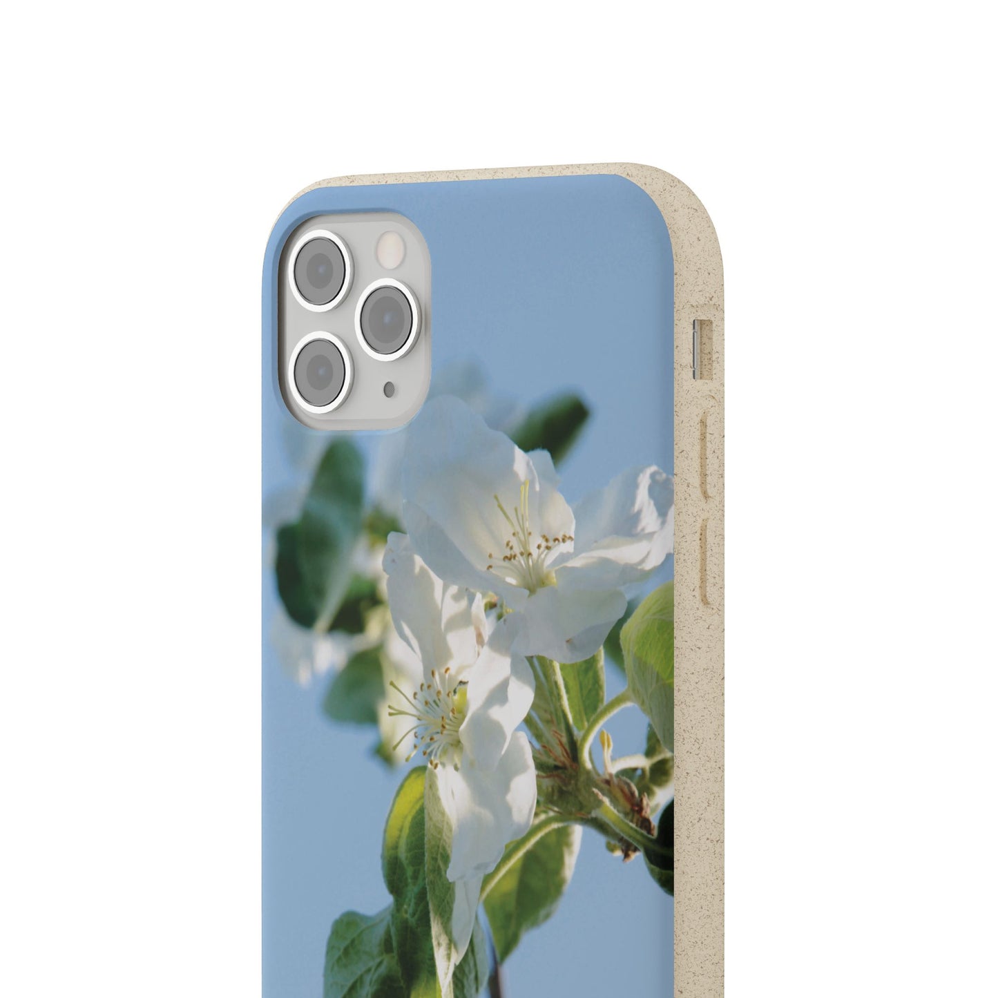 Eco-Friendly Biodegradable Phone Case ‚Apfelblüte‘/,Apple Blossom’ – Photo Design by Sarah Buhl – Magsafe® Compatible