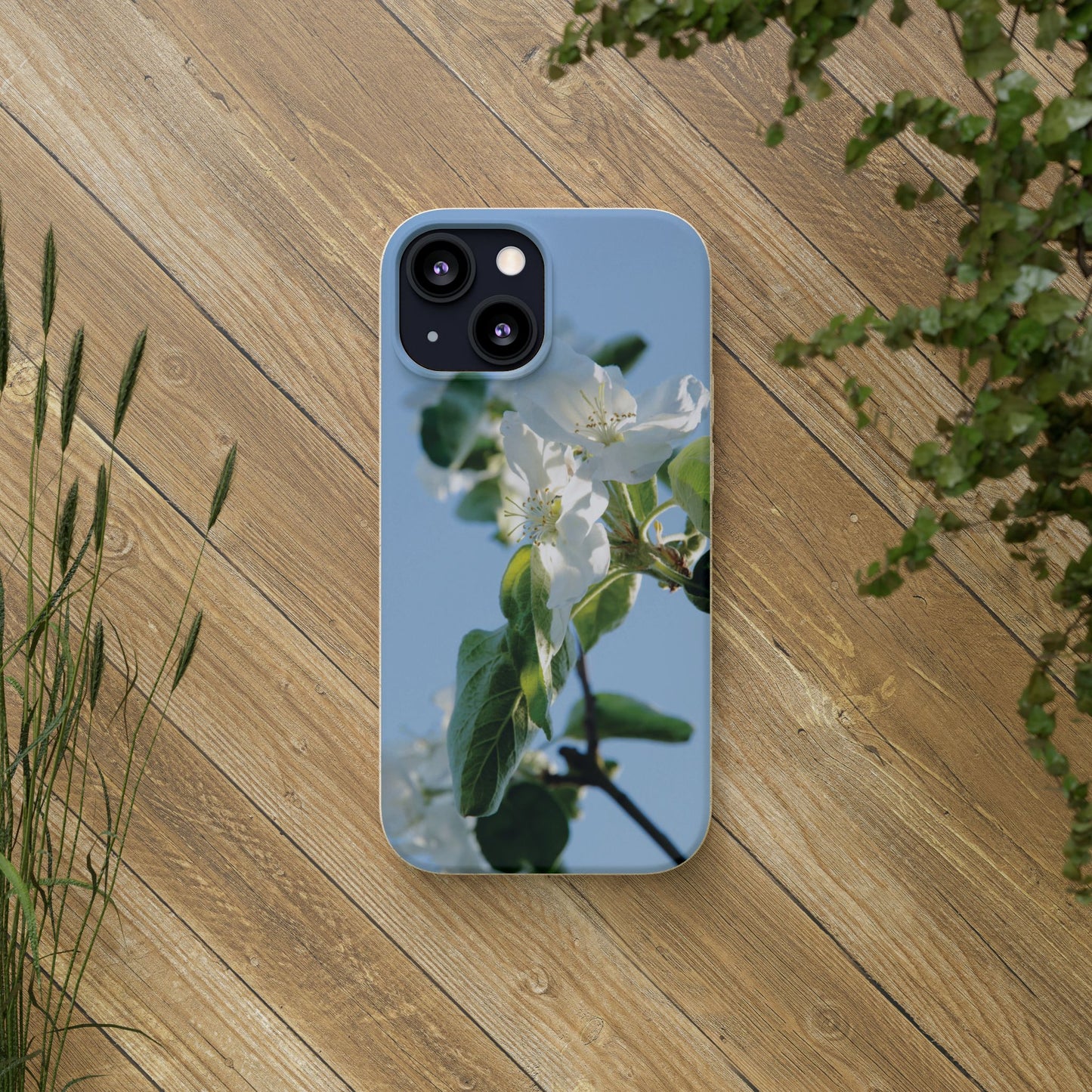 Eco-Friendly Biodegradable Phone Case ‚Apfelblüte‘/,Apple Blossom’ – Photo Design by Sarah Buhl – Magsafe® Compatible