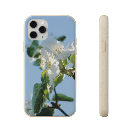 Biodegradable Phone Case „Apfelblüte/Apple Blossom“ – Eco-Friendly Artistic Accessory with Photo Design by Sarah Buhl – Magsafe® Compatible