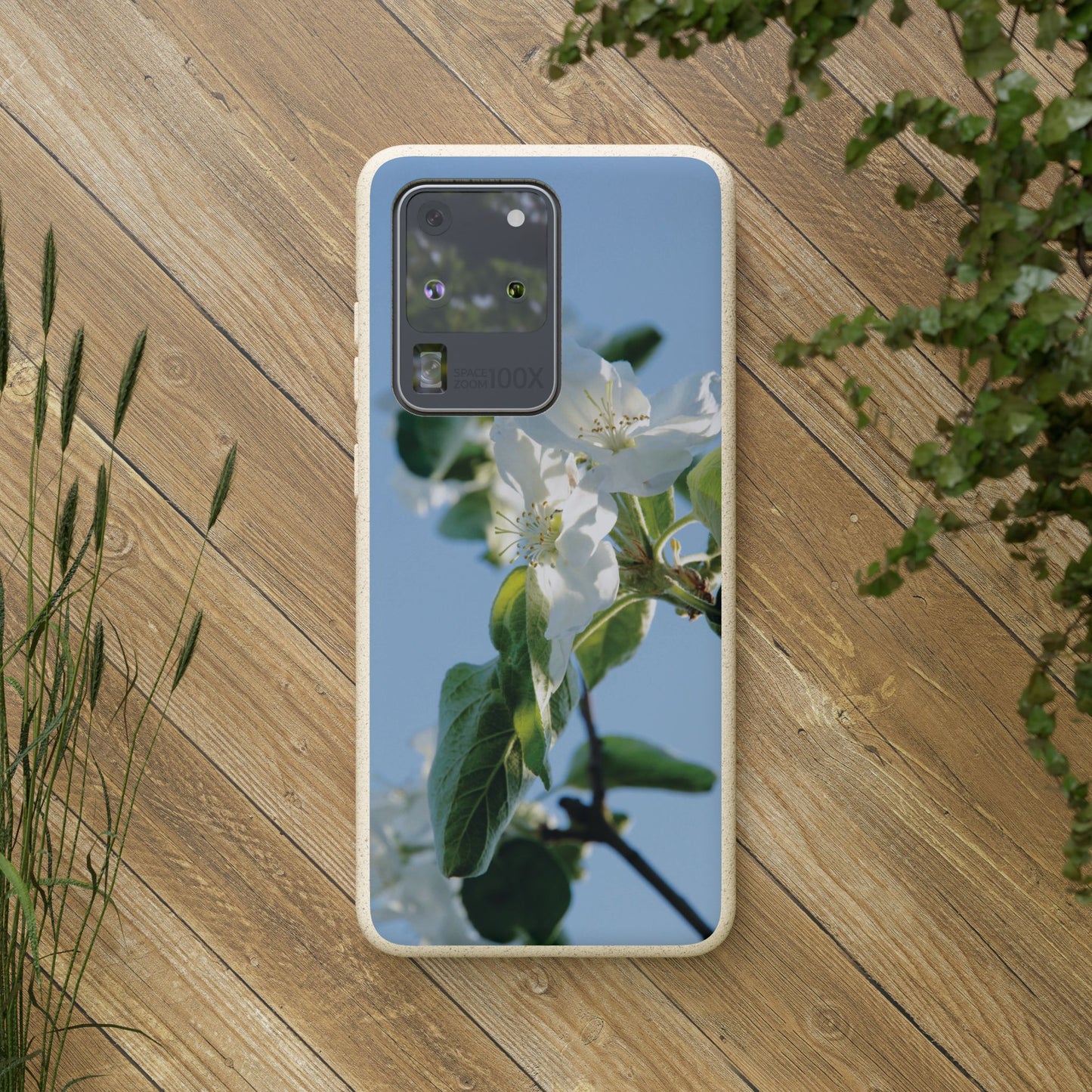 Biodegradable Phone Case „Apfelblüte/Apple Blossom“ – Eco-Friendly Artistic Accessory with Photo Design by Sarah Buhl – Magsafe® Compatible