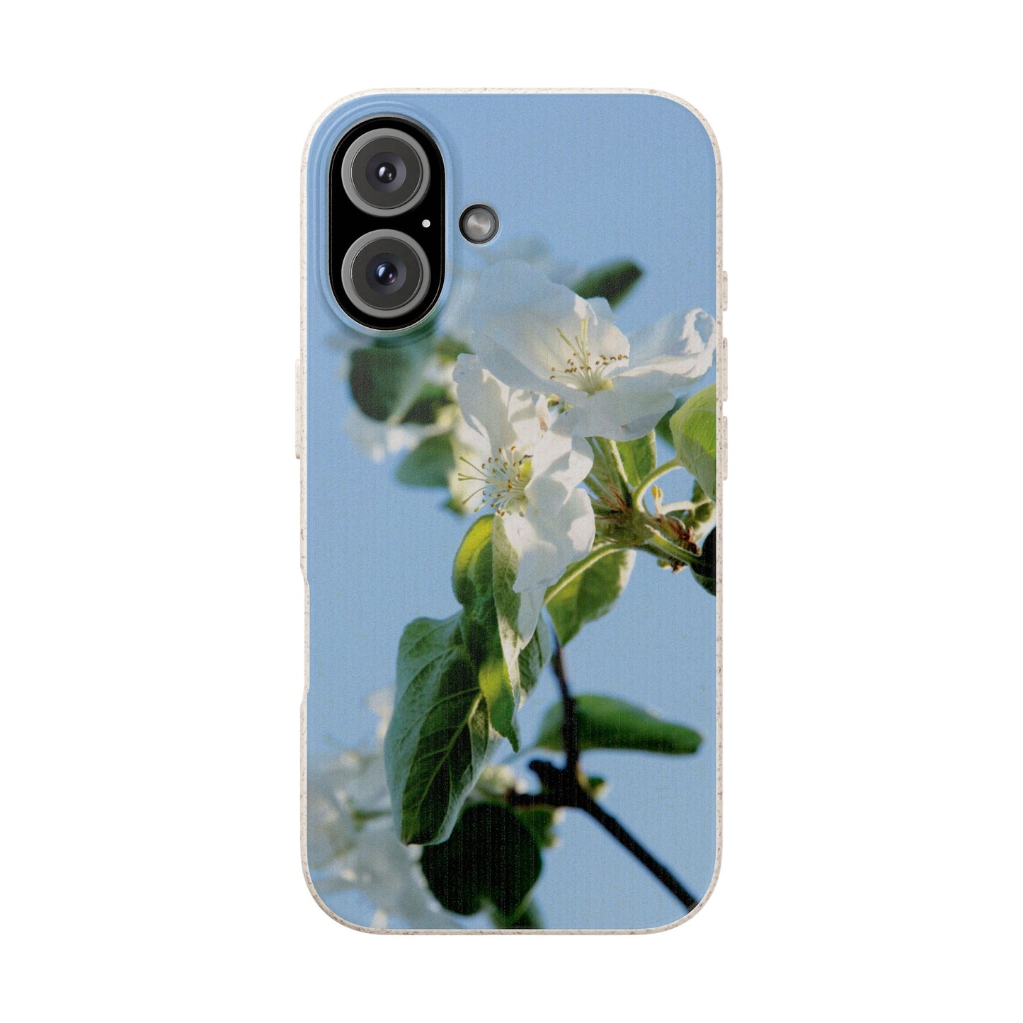 Biodegradable Phone Case „Apfelblüte/Apple Blossom“ – Eco-Friendly Artistic Accessory with Photo Design by Sarah Buhl – Magsafe® Compatible