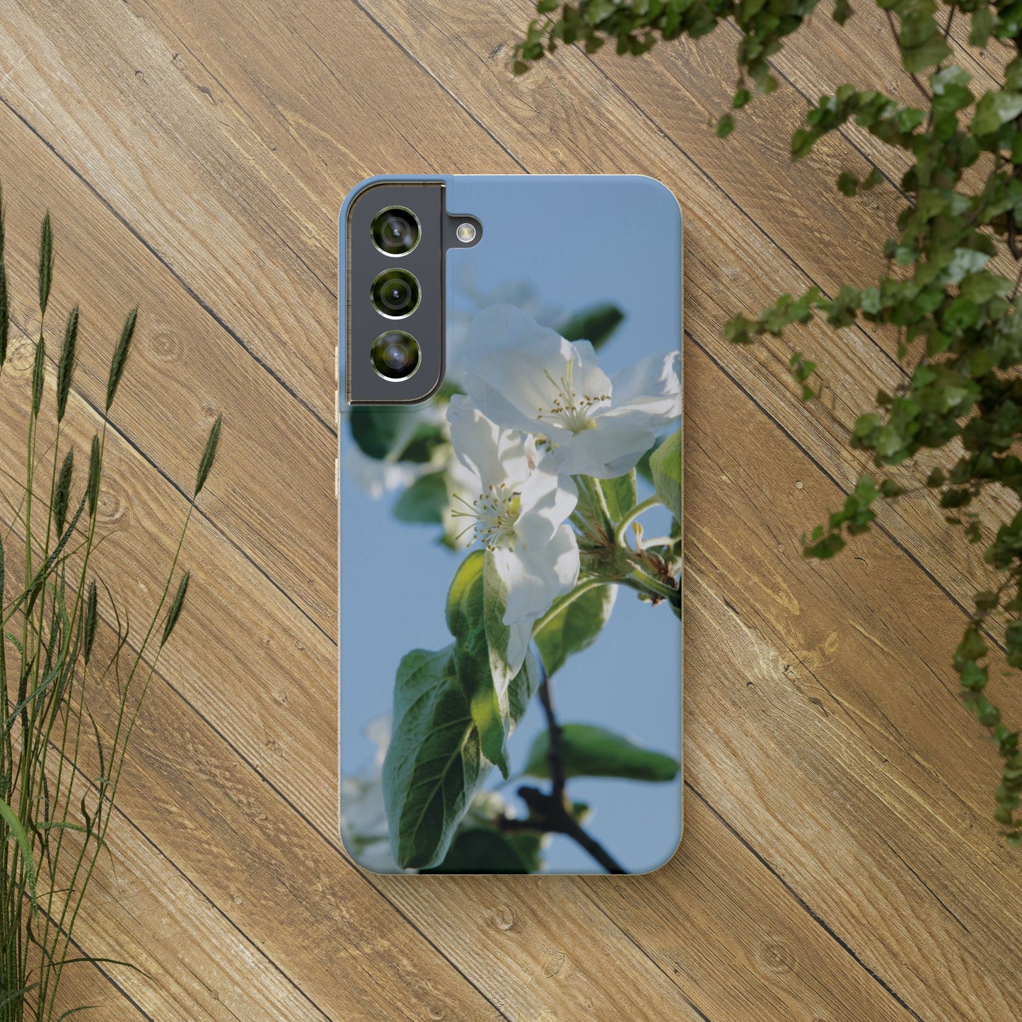 Eco-Friendly Biodegradable Phone Case ‚Apfelblüte‘/,Apple Blossom’ – Photo Design by Sarah Buhl – Magsafe® Compatible