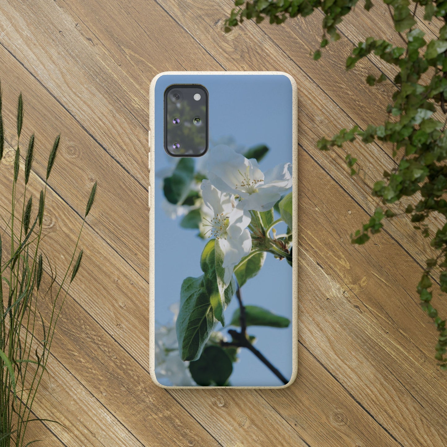 Biodegradable Phone Case „Apfelblüte/Apple Blossom“ – Eco-Friendly Artistic Accessory with Photo Design by Sarah Buhl – Magsafe® Compatible