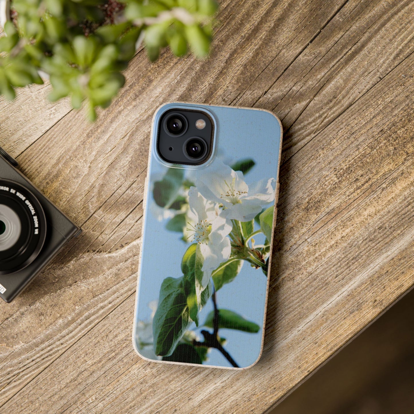 Biodegradable Phone Case „Apfelblüte/Apple Blossom“ – Eco-Friendly Artistic Accessory with Photo Design by Sarah Buhl – Magsafe® Compatible