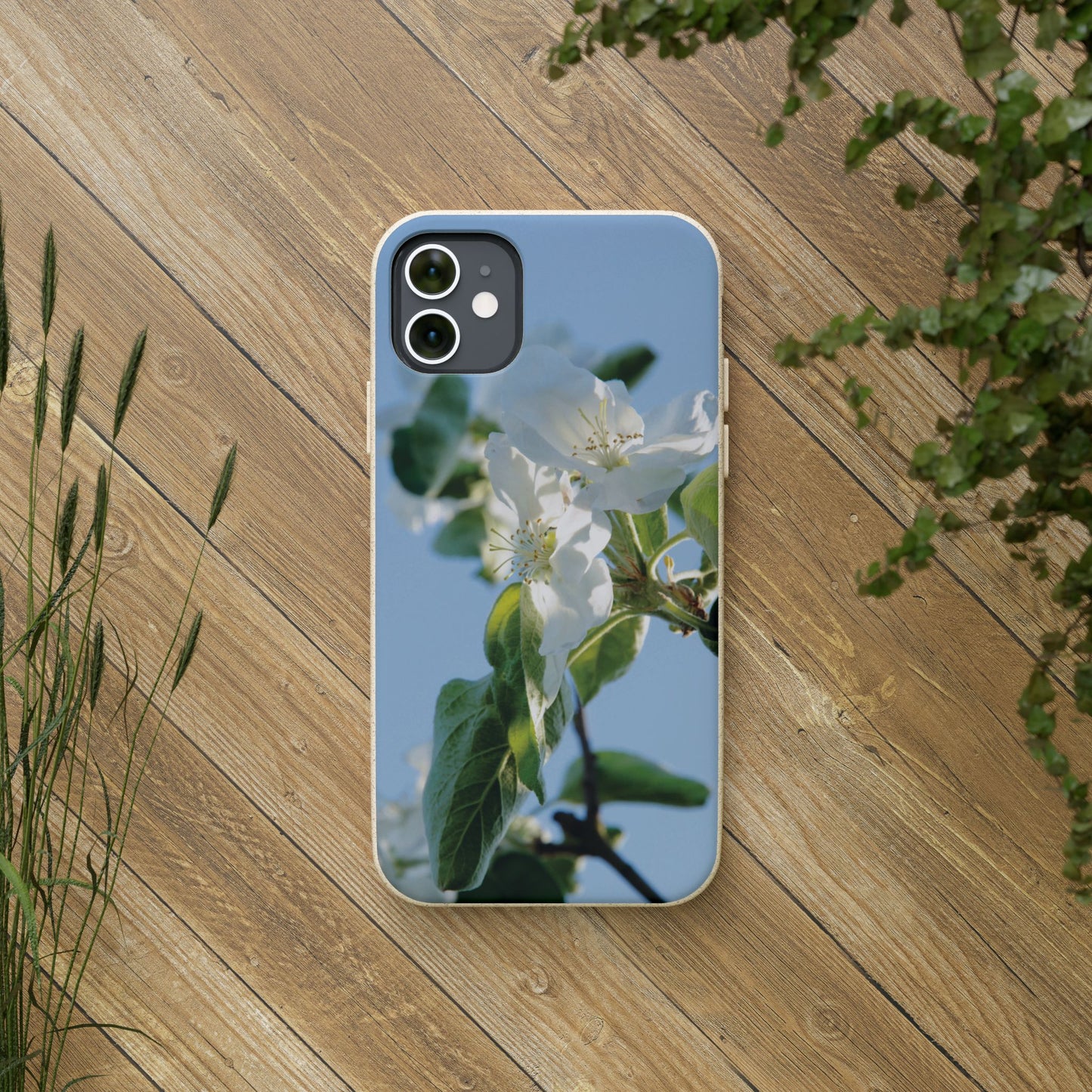 Eco-Friendly Biodegradable Phone Case ‚Apfelblüte‘/,Apple Blossom’ – Photo Design by Sarah Buhl – Magsafe® Compatible