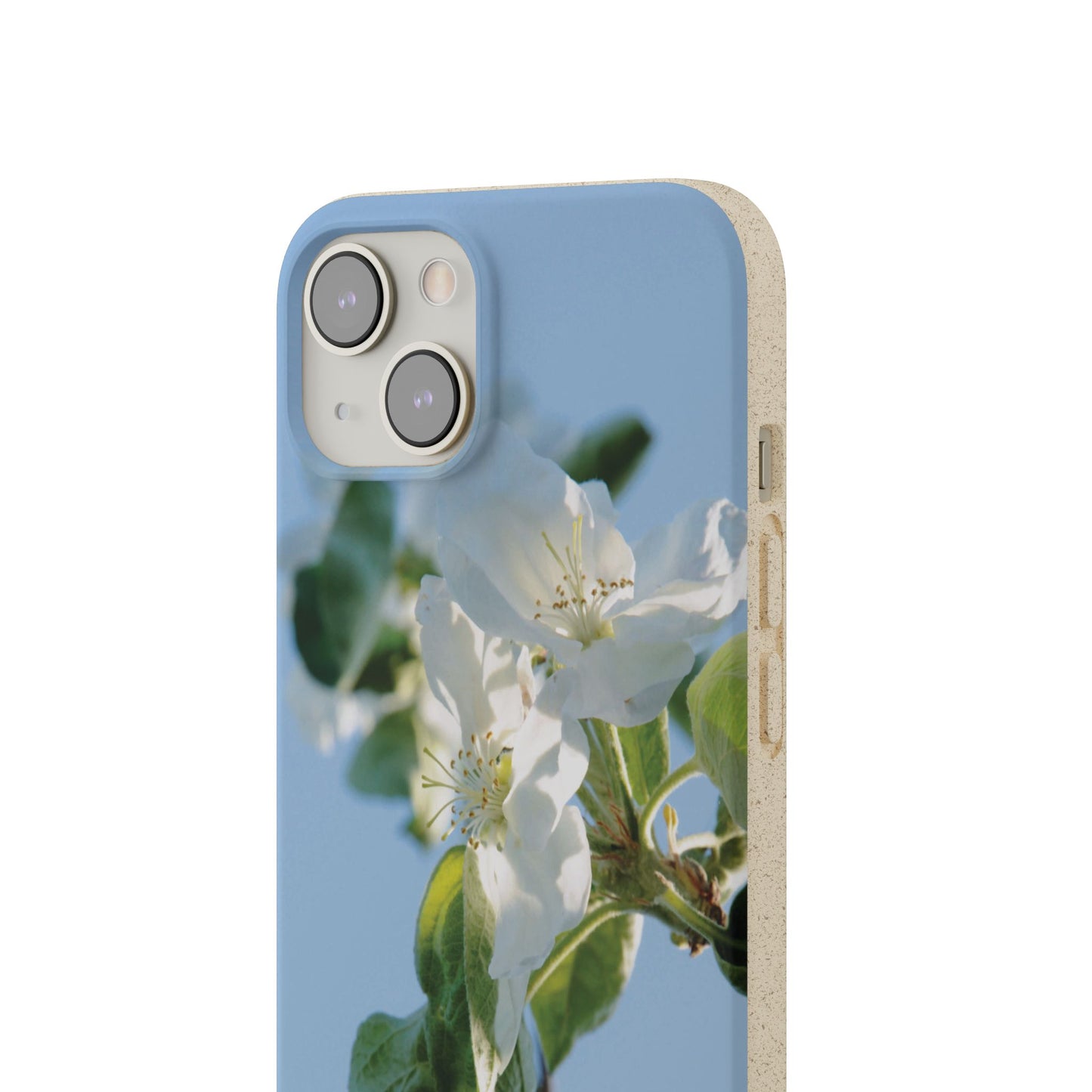 Biodegradable Phone Case „Apfelblüte/Apple Blossom“ – Eco-Friendly Artistic Accessory with Photo Design by Sarah Buhl – Magsafe® Compatible