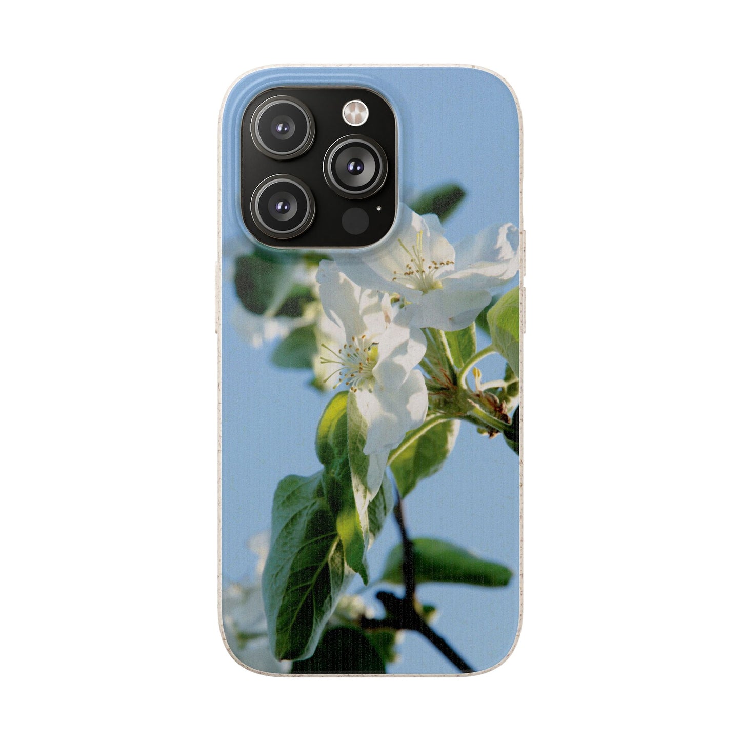 Biodegradable Phone Case „Apfelblüte/Apple Blossom“ – Eco-Friendly Artistic Accessory with Photo Design by Sarah Buhl – Magsafe® Compatible