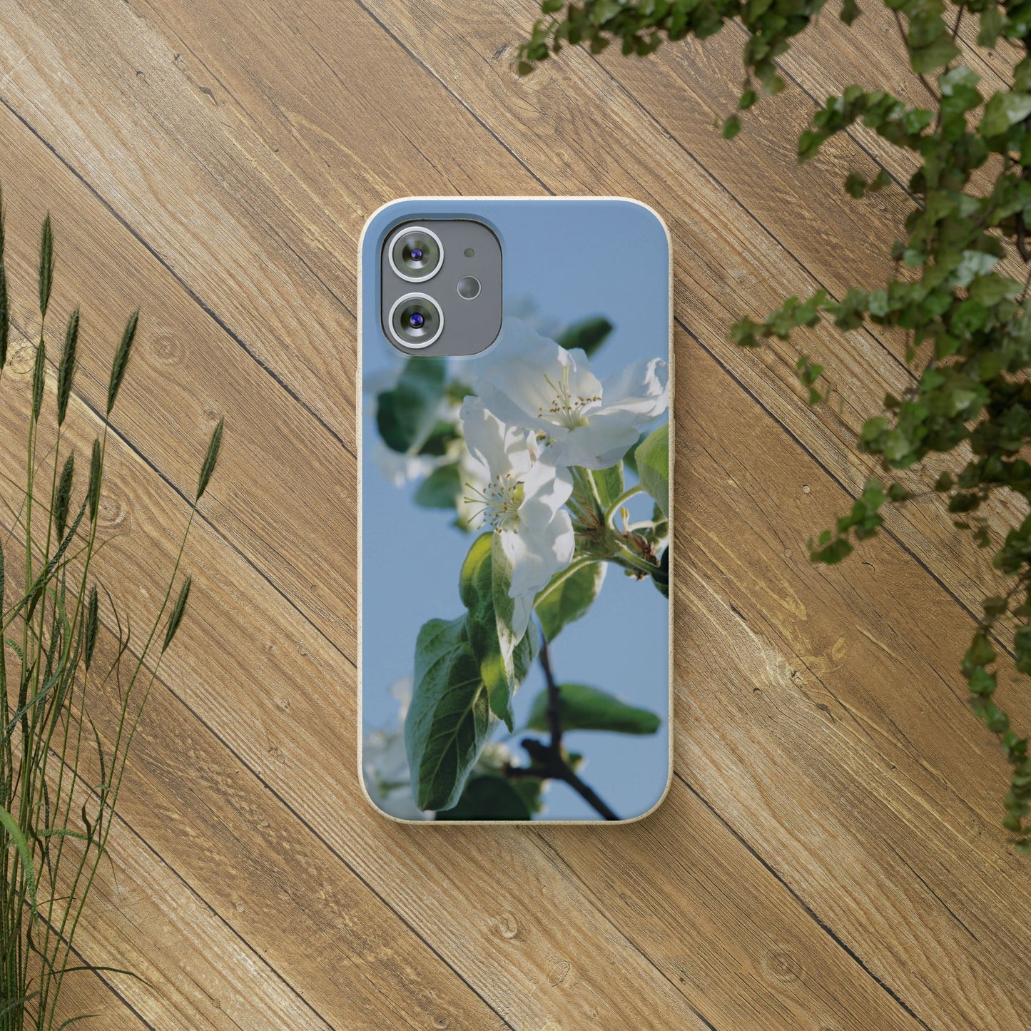 Eco-Friendly Biodegradable Phone Case ‚Apfelblüte‘/,Apple Blossom’ – Photo Design by Sarah Buhl – Magsafe® Compatible