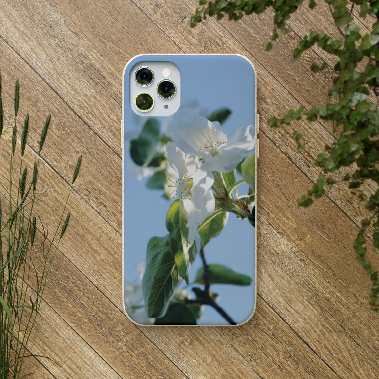 Eco-Friendly Biodegradable Phone Case ‚Apfelblüte‘/,Apple Blossom’ – Photo Design by Sarah Buhl – Magsafe® Compatible