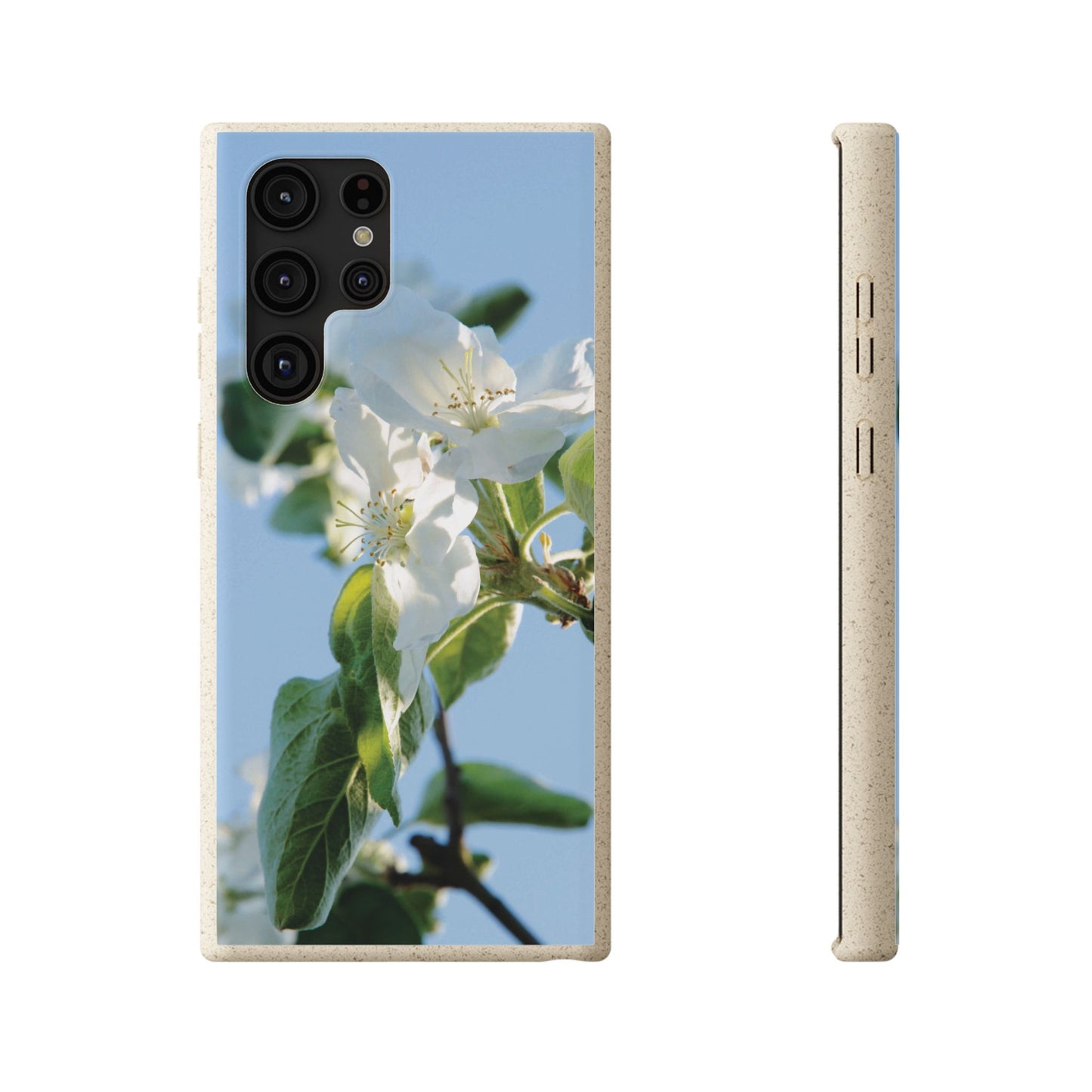 Eco-Friendly Biodegradable Phone Case ‚Apfelblüte‘/,Apple Blossom’ – Photo Design by Sarah Buhl – Magsafe® Compatible